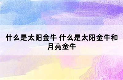 什么是太阳金牛 什么是太阳金牛和月亮金牛